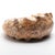 Large Ammonite Fossil Unique Accent For Sale - Image 9 of 16