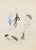 Watercolor on paper. Hand signed in the lower right. Another drawing on rear. Very good condition. This piece is...