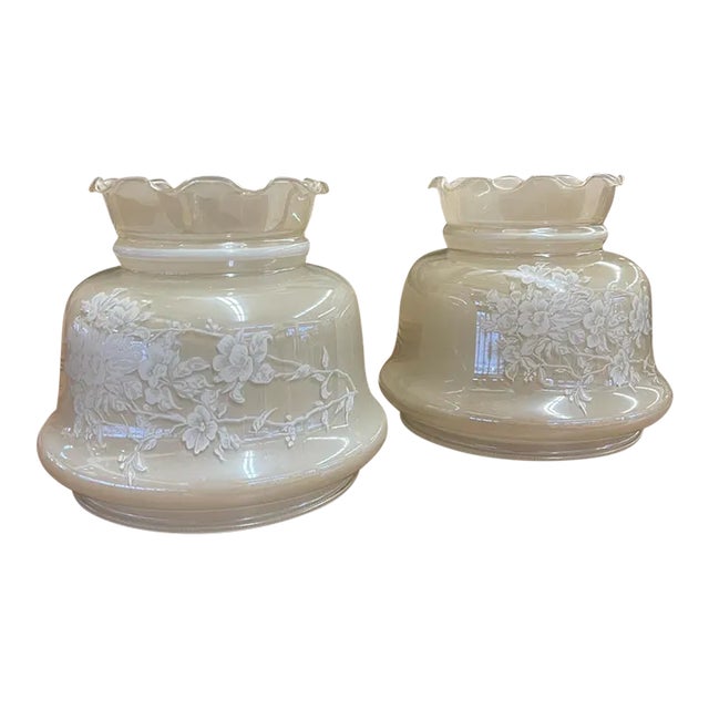 Vintage Pair of Frosted Glass Lamp Shades With Rose Motif For Sale