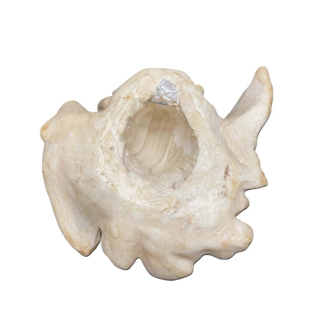 1960's Unbranded Wall Mount Sculpture, Angel Figure, Classical Cherub, Putto, Left Facing, Heavyweight For Sale - Image 13 of 14