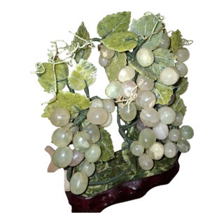 Grape Vines Bonsai Tree For Sale