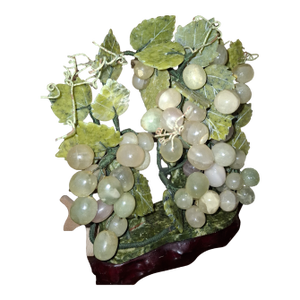 Grape Vines Bonsai Tree