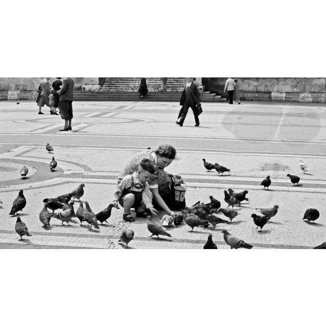 One of the photographers at Mauritius Publishing based in Berlin was Karl Heinrich Lämmel. Born on 30 July 1910 in Riesa,...