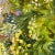 2020s Summer Blooms, Original Oil Painting by Julia Lawing For Sale - Image 5 of 8