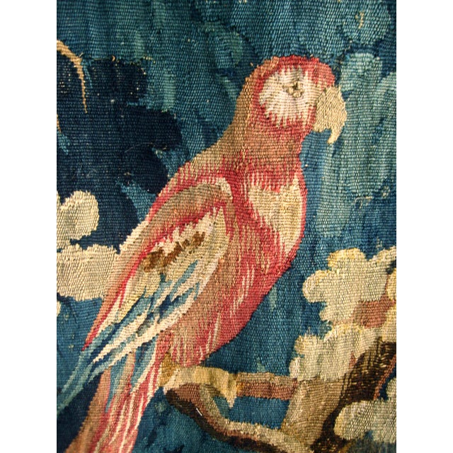 Textile Aubusson French Tapestry Verdure Red Parrot in a Tree 18 Century For Sale - Image 7 of 15