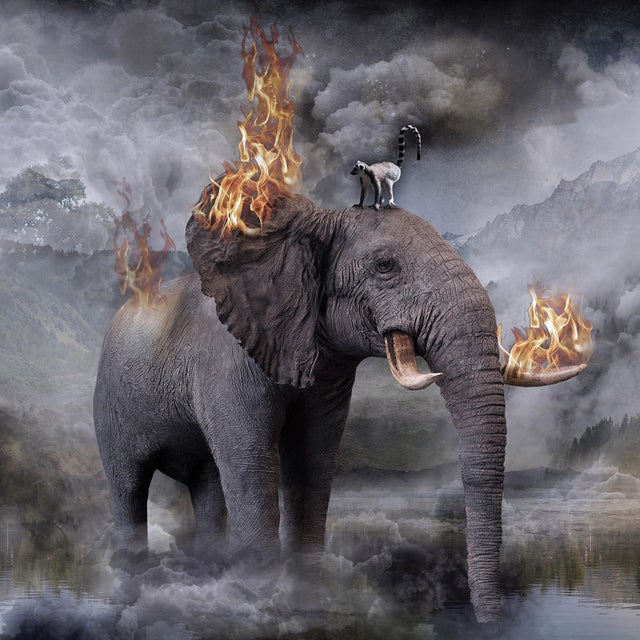 Amazonia by Marcin Owczarek | Photography of a surreal elephant in a dramatic landscape For Sale - Image 4 of 4