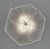 1920s Hettier & Vincent Art Deco Pendant Chandelier Circa 1930 - Hexagonal Glass & Nickel For Sale - Image 5 of 14