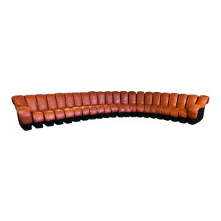 Ds-600 Ueli Berger De Sede-Stendig Section Sofa 22 Sections