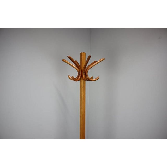 Vintage Bentwood Coat Rack, Czechoslovakia, 1930s For Sale - Image 9 of 10