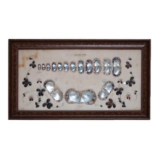 1920 Taisho Era Japanese Akoya Pearls Display for a Jewelry Exhibition in Europe For Sale