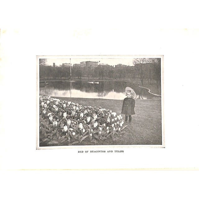 "Four Seasons in the Garden" Book 1907 Rexford, Eben E. For Sale - Image 9 of 10