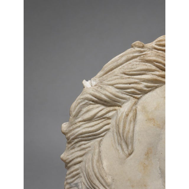 Grand Tour–Style Marble Horse Head on a Marble Plinth, Italian C. 1900 For Sale - Image 10 of 14