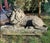 Handcrafted and Sculpted Ofllions in Vicenza Stone, 19th Century, Set of 2 For Sale - Image 11 of 12