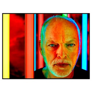 Kevin Westenberg, David Gilmour, Archival Pigment Print, 2015 For Sale