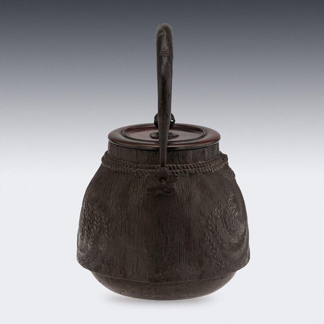 Antique Japanese Carved Cast Iron Ryubundoa Tetsubin Kettle, 19th Century For Sale - Image 4 of 18