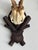 Collection of Antique Black Forest Roe Deer Trophy Antler Mounts - Set of 3 For Sale - Image 10 of 17