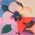 2020s Set of 4 Framed Botanical Photograph Prints — Pop Art Flowers No. 2 For Sale - Image 5 of 10