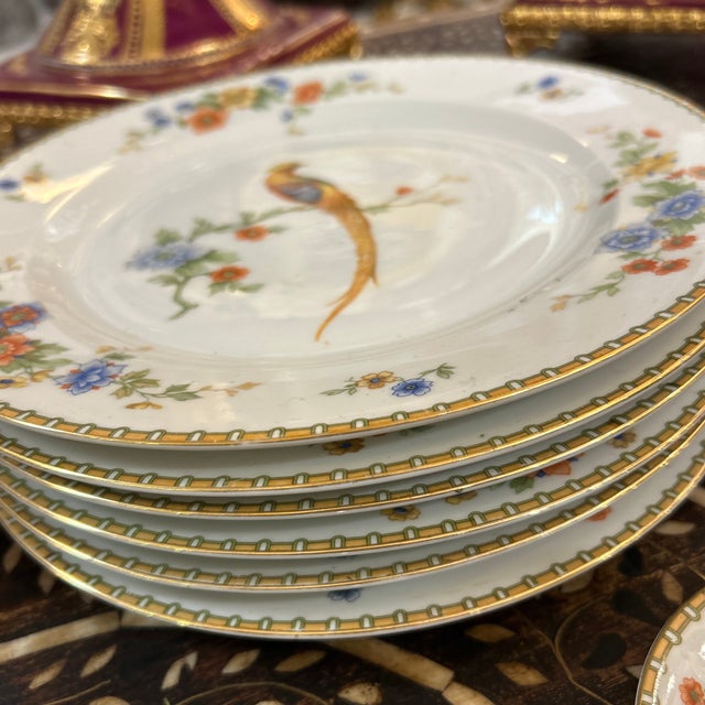 Traditional Altrohlau Czeck Set of Porcelain Dinnerware Service for 4 With Many Extra's For Sale - Image 3 of 11