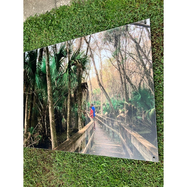 Extremely Beautiful photo of a Father and Son on an aged boardwalk at Highlands Hammock State Park, Sebring Florida, that...