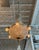Absolutely stunning stag head chandelier with mesmerizing lights on the inside and sparkling deer head lights on the...