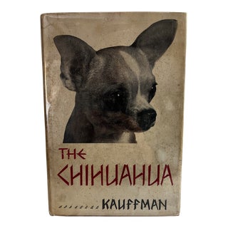 1952 the Chihuahua by Russell Kauffman Book For Sale