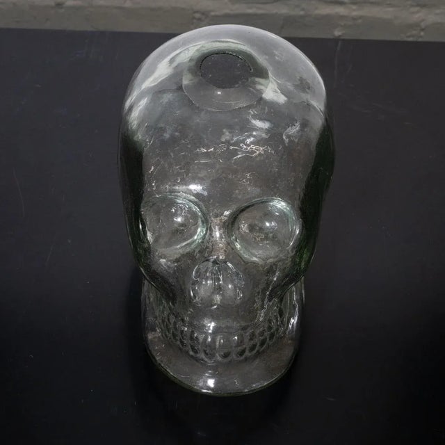 Clear glass sculptural skull vase For Sale In New York - Image 6 of 6