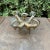 1950s Bronze Four Rams Head Candlestick Holder For Sale In Columbia, SC - Image 6 of 6