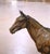 19th C. French Patinated Bronze Horse Sculpture on Marble Base Signed C. Fratin For Sale In Dallas - Image 6 of 12
