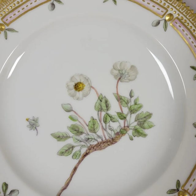 Neoclassical Antique Royal Copenhagen Flora Danica “Dryas Octopetala” Botanical Dinner Plate, Iceland National Flower For Sale - Image 3 of 7