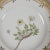 Neoclassical Antique Royal Copenhagen Flora Danica “Dryas Octopetala” Botanical Dinner Plate, Iceland National Flower For Sale - Image 3 of 7