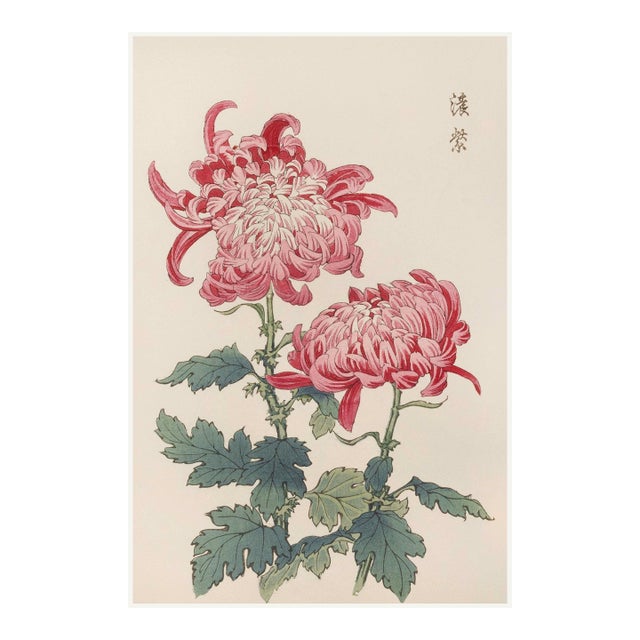 Pink Chrysanthemums, Vintage Japanese Botanical Art Print, 40" X 60" For Sale