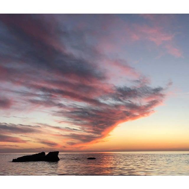 Roy Dagan "Schnauzer" Dog in Ocean Seascape Photograph, 2020 For Sale In New York - Image 6 of 6