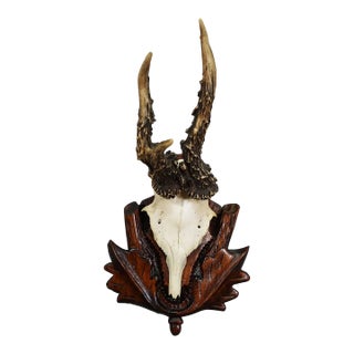 Antique Red Deer Trophy on Carved Plaque, Germany 1940s For Sale