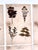 Oversized Antique French Herbarium Specimens – Set of 8 | Original 19th Century Pressed Botanical Collection From Paris For Sale - Image 10 of 17