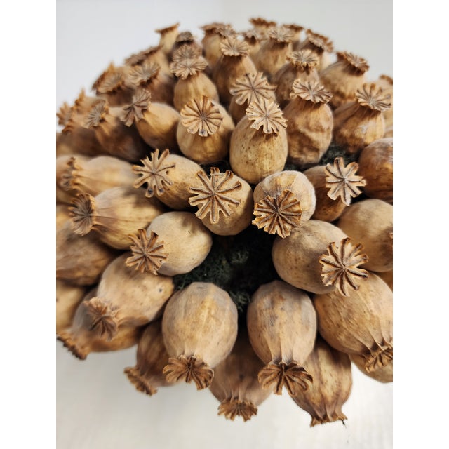 Mid 20th Century Tiffany & Co. Sterling Silver Revere Bowl For Sale - Image 13 of 14