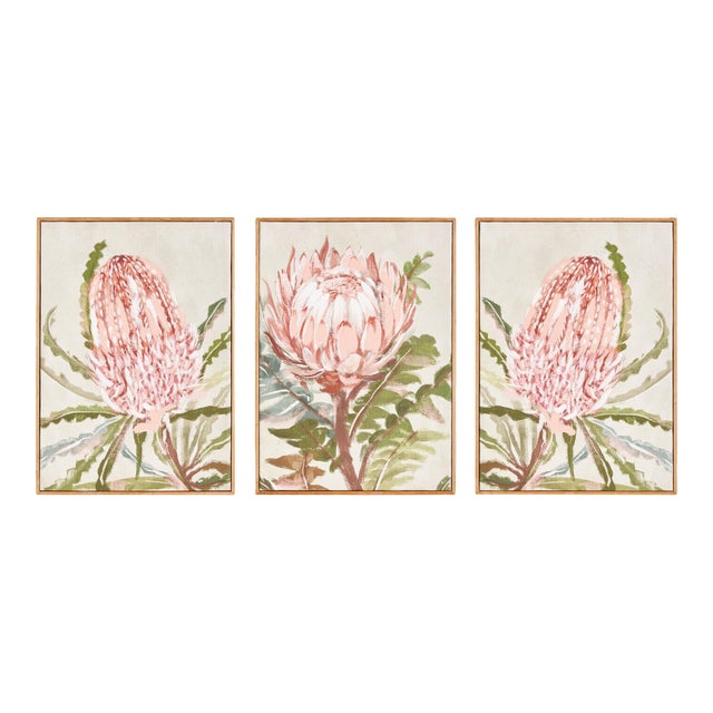 Queen Protea Giclees, Set Of 3 For Sale