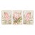 Queen Protea Giclees, Set Of 3 For Sale