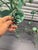 Metal 1970s Large Verdigris Wrought Iron Standing Planters With Decorative Dangling Rose and Leaf Motif, a Pair For Sale - Image 7 of 12