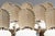 1980s Vintage Italian Hollywood Regency Grotto Shell-Back Dining Chairs - Set of 8 For Sale - Image 10 of 18
