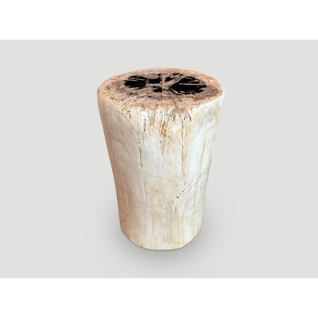 Contemporary Andrianna Shamaris High Quality Petrified Wood Side Table For Sale - Image 3 of 5