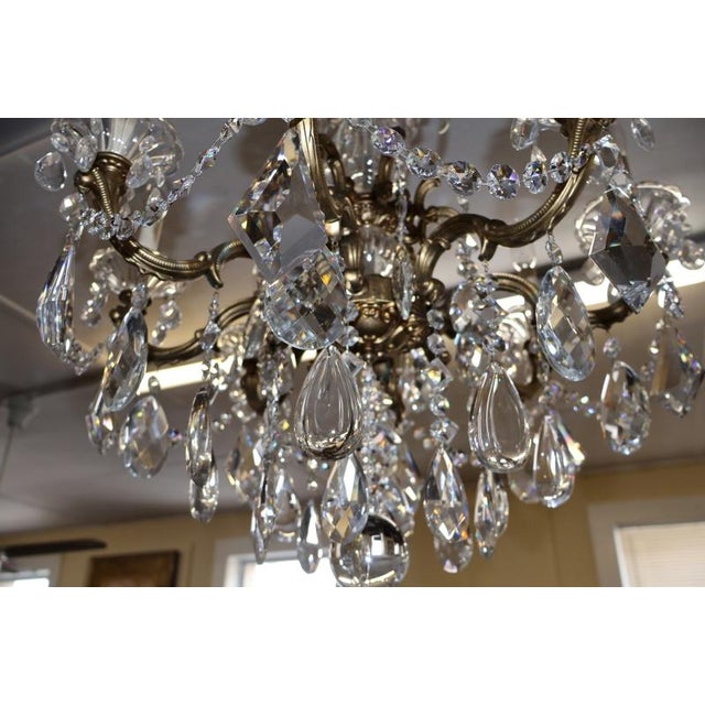 Schonbek La Scala 5007 8 Light Gold Color Crystal Chandelier For Sale - Image 15 of 18