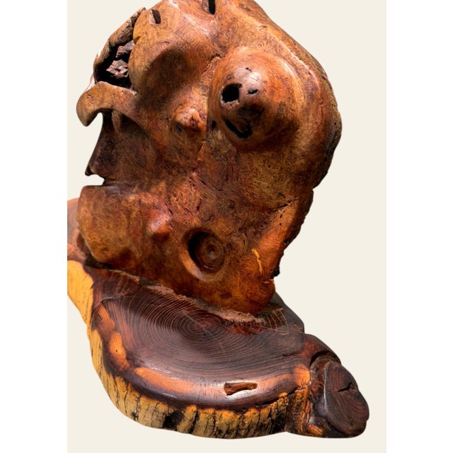 Vintage Burl Root Wood Abstract Sculpture Live Edge Base Organic Modern 17" For Sale - Image 15 of 15