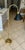 Late 20th Century Late 20th Century Frederick CooperSolid Brass Faux Bamboo Floor Lamp For Sale - Image 5 of 17