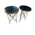 A pair of black granite top empire style Gueridon tables. Brass with paw feet and a circular top. Manufacturer unknown.