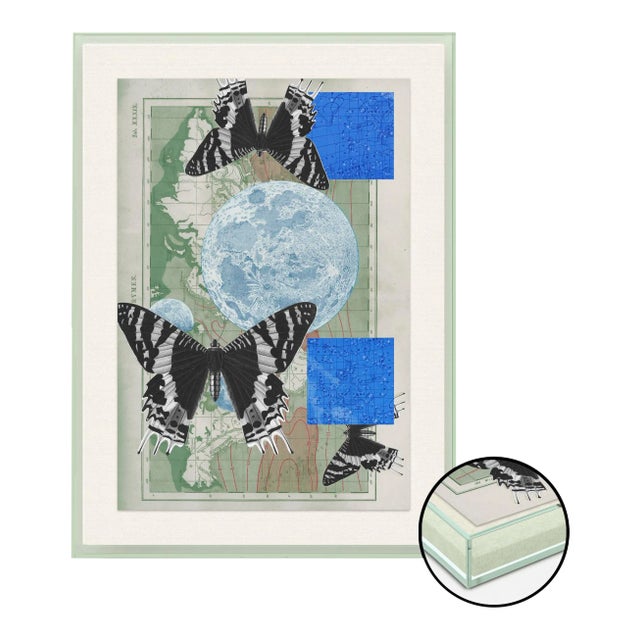 Hovering Wings by Gold Rush Art, Art Print in Light Green Acrylic Frame, Small For Sale