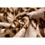 Gold Luxury Gold & Espresso Silk Velvet Throw Pillow 20x20 | Handmade Designer Ikat Cushion For Sale - Image 8 of 8