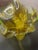 Glass 1960 Stunning Bohemian Glass Vase Designed by Josef Hospodka For Sale - Image 7 of 9