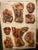 Genito-Urinary Anatomical Chart, Paper on Canvas, 1922 For Sale - Image 9 of 16