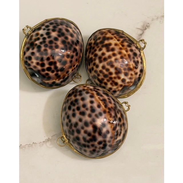 Coffee Mid 20th Century Victorian Cowrie Shell Nautical Keepsake Box For Sale - Image 8 of 8