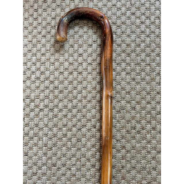 Mid 20th Century Rustic Estate Wood Bamboo Walking Canes - Set of 5 For Sale - Image 13 of 17